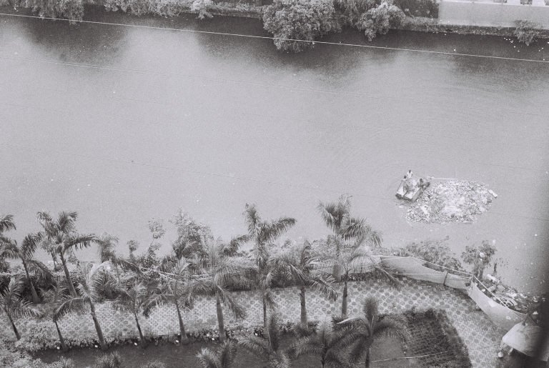 Black and white aerial view of a river with palm trees lining the bank